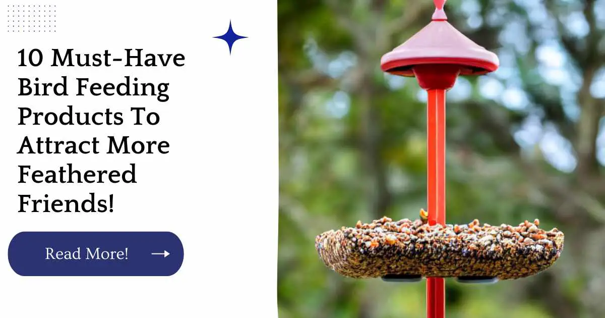 10 Must-Have Bird Feeding Products To Attract More Feathered Friends!