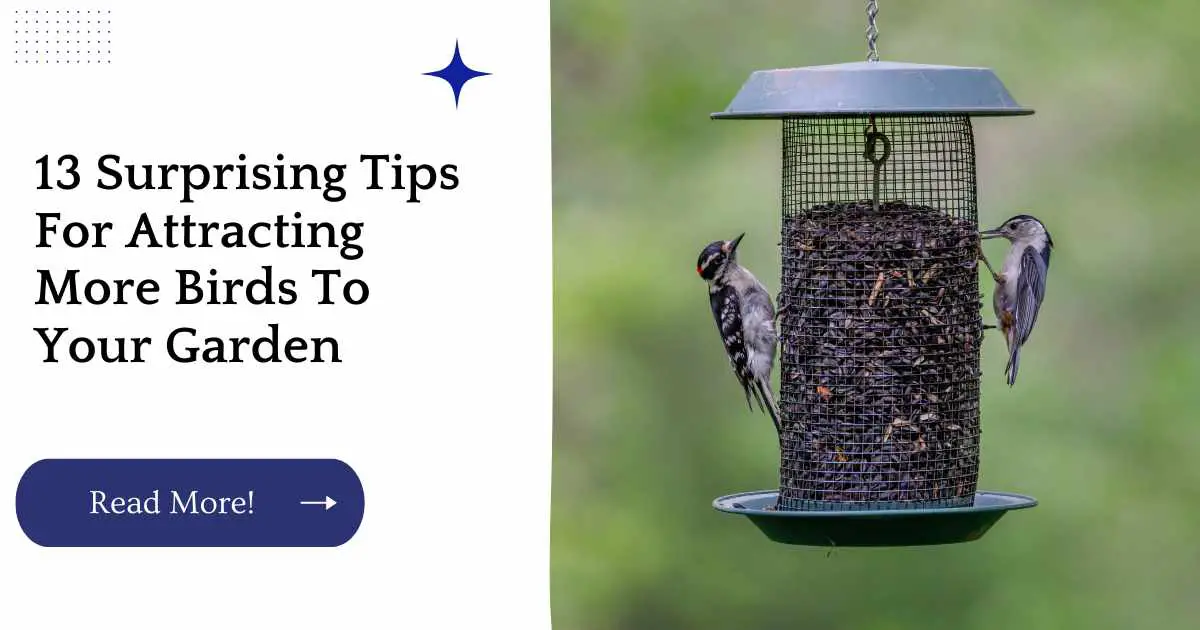 13 Surprising Tips For Attracting More Birds To Your Garden