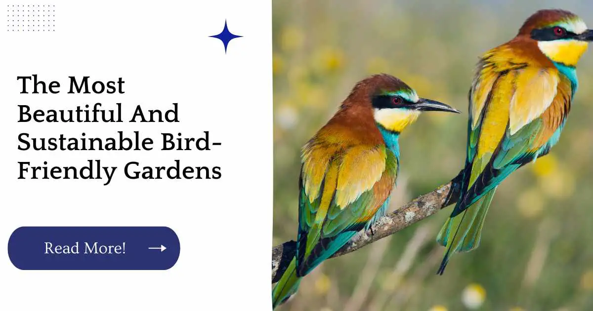 The Most Beautiful And Sustainable Bird-Friendly Gardens