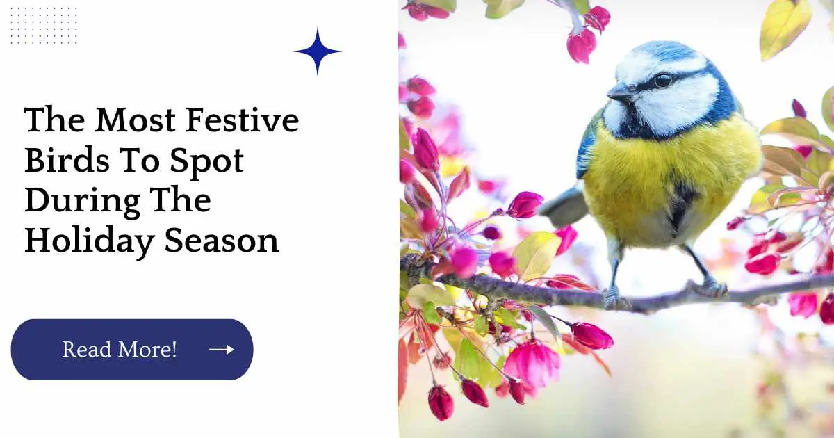 The Most Festive Birds To Spot During The Holiday Season