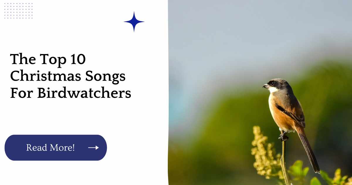 Whether you're a serious birder or just love the birds, here's our top 10 Christmas songs for birdwatchers.