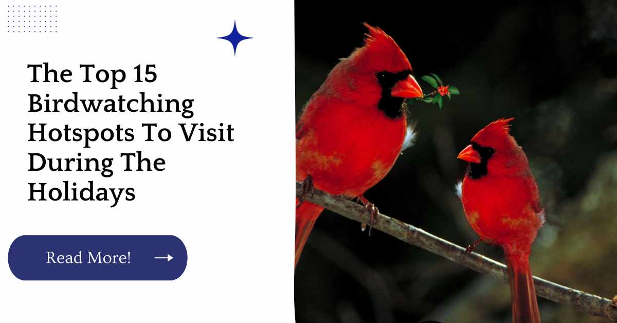 The Top 15 Birdwatching Hotspots To Visit During The Holidays