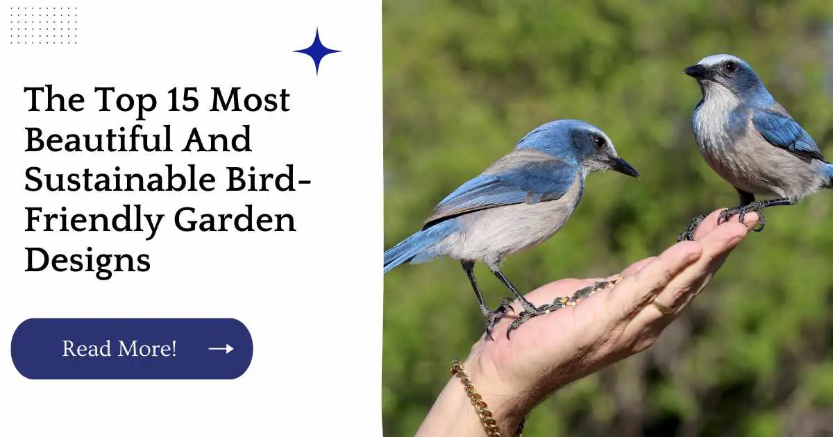 The Top 15 Most Beautiful And Sustainable Bird-Friendly Garden Designs