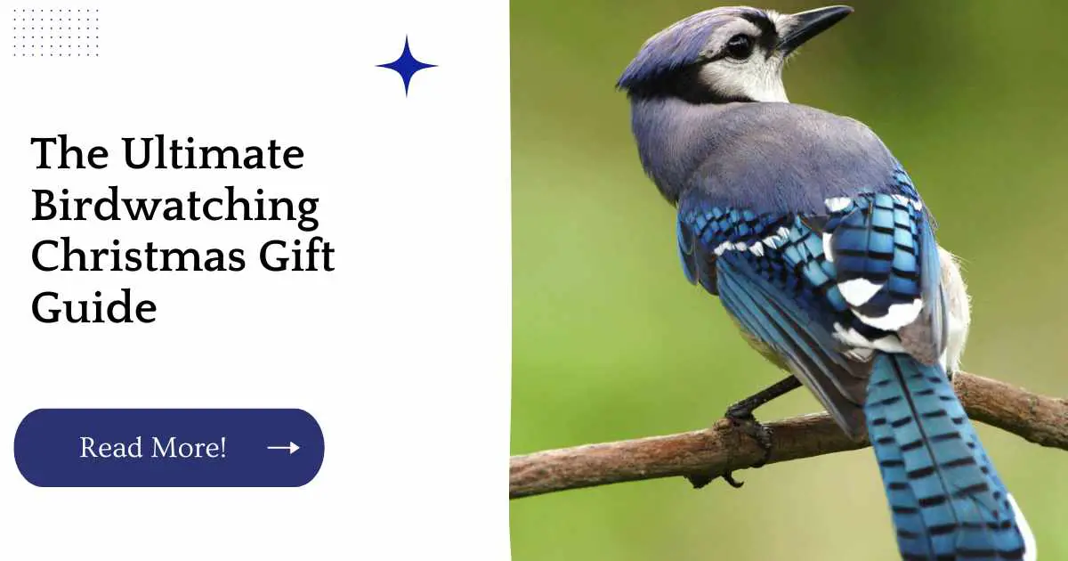 The Ultimate Birdwatching Christmas Gift Guide