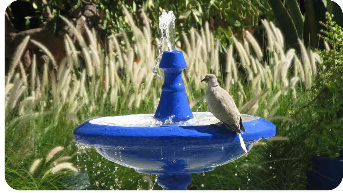 Bird fountain