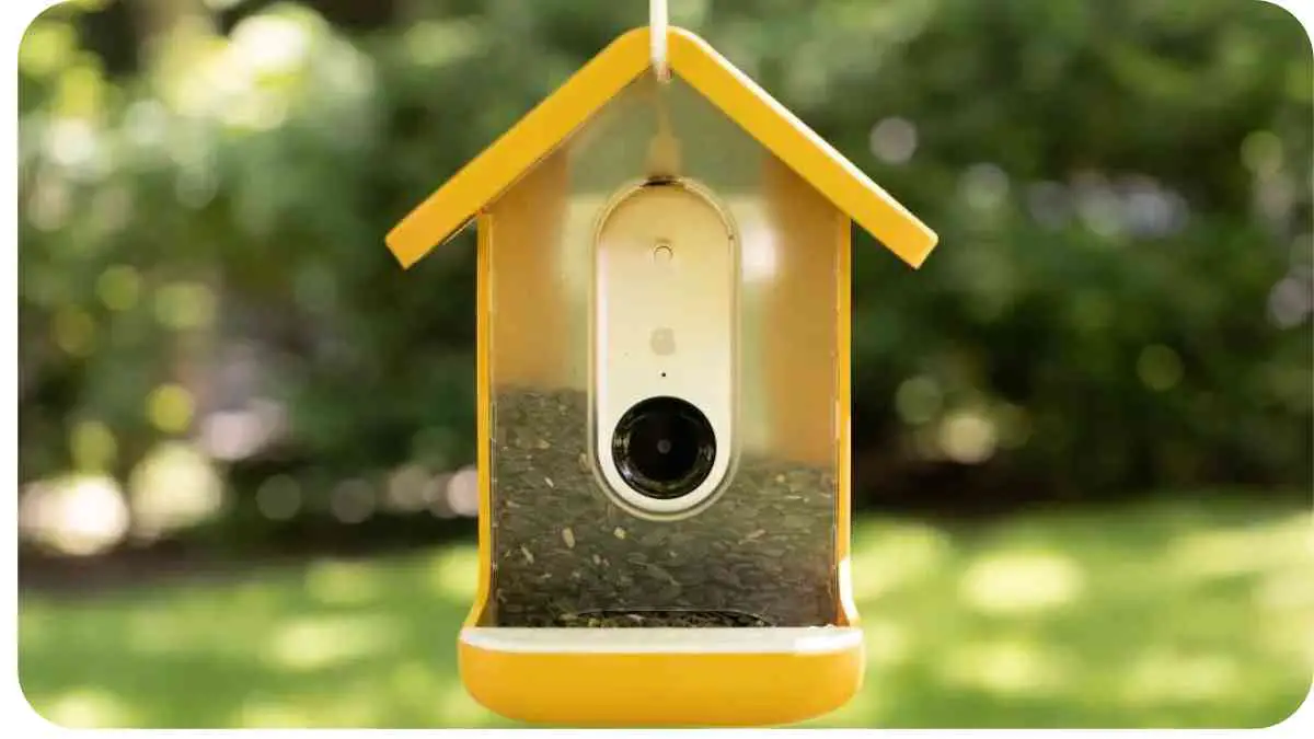 Smart Bird Feeders Not Dispensing? How to Fix Common Issues and Ensure Continuous Feeding