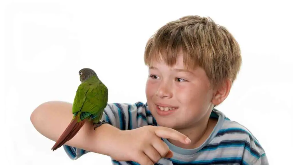 a person with a bird on their hand