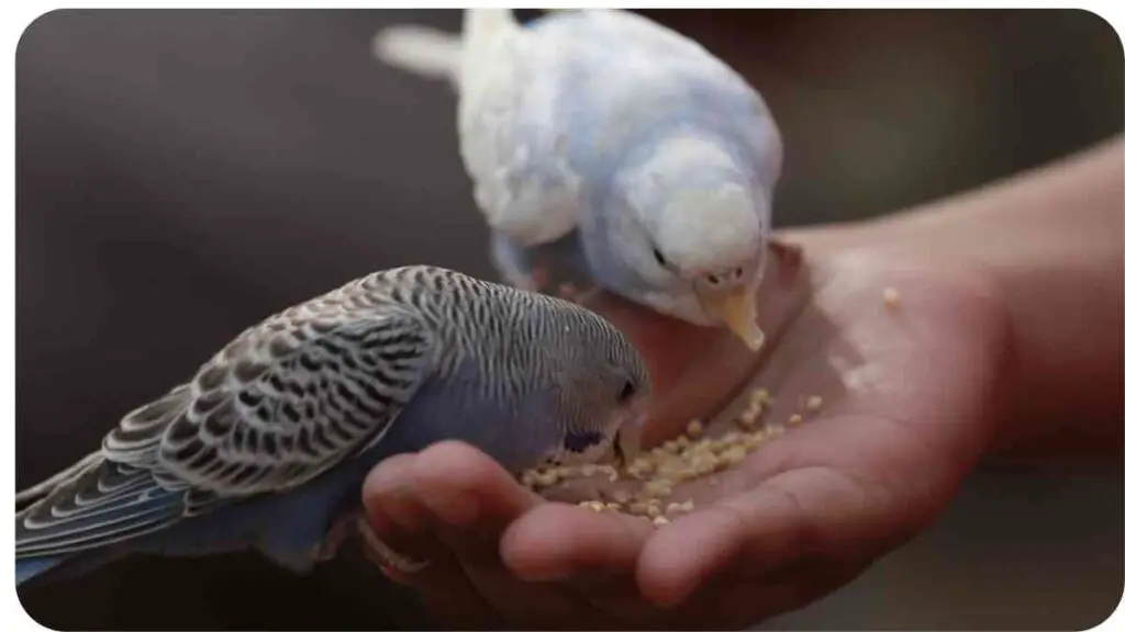 a couple of birds are sitting on a hand