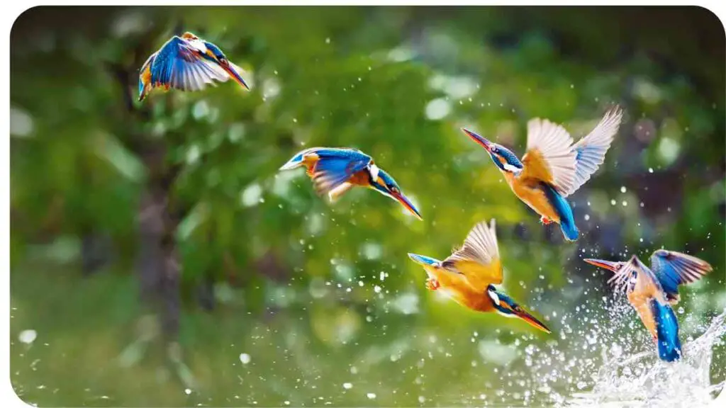a group of colorful birds flying over water