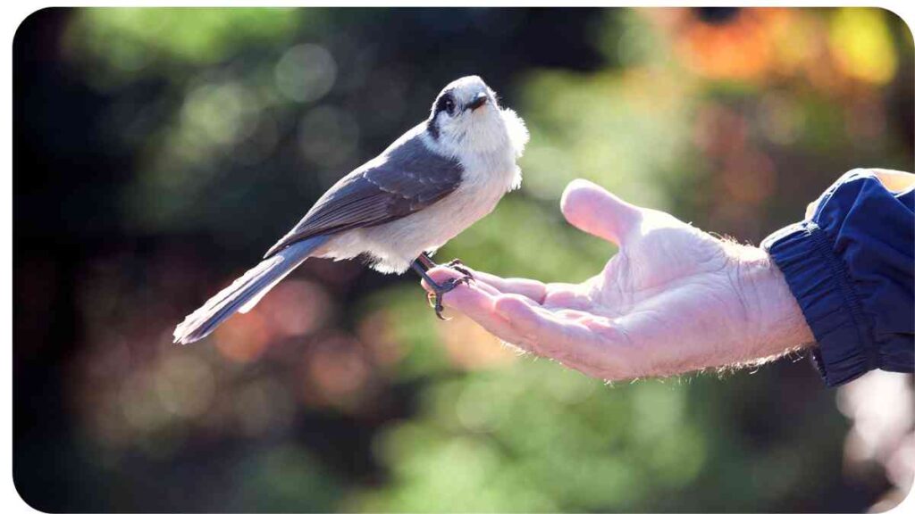 {a small bird perched on a person's hand}
