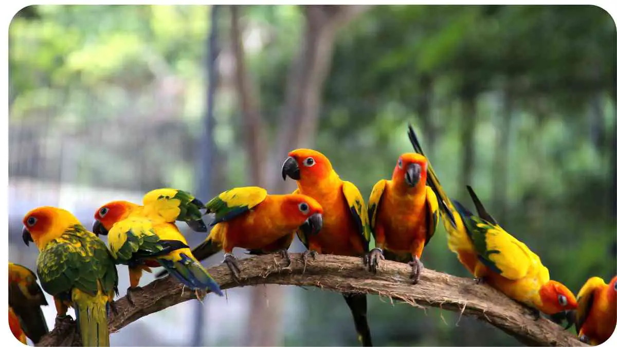 Decoding Empathy and Compassion in Bird Behavior