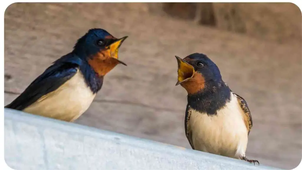 two birds standing on a ledge with their mouths open