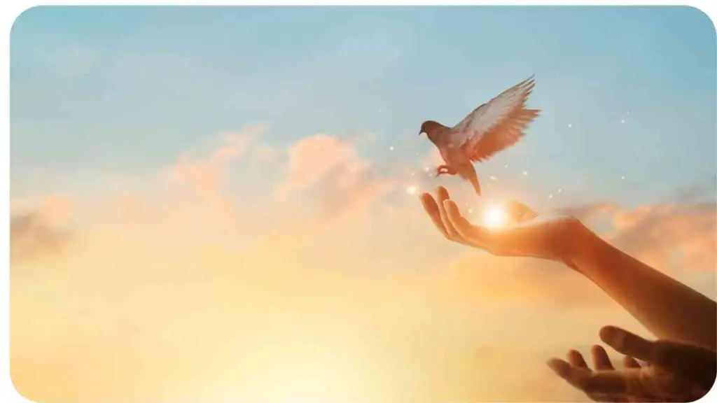 a person holding a dove in their hand with the sun shining in the background.